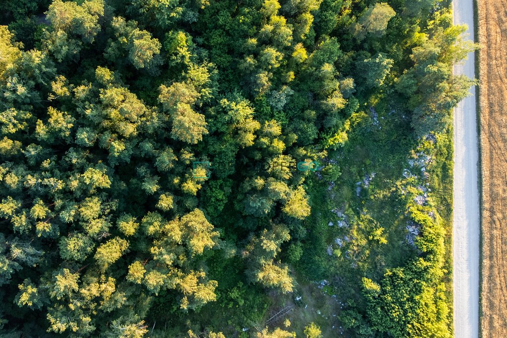 Działka budowlana na sprzedaż Podhorodnianka  5 900m2 Foto 7