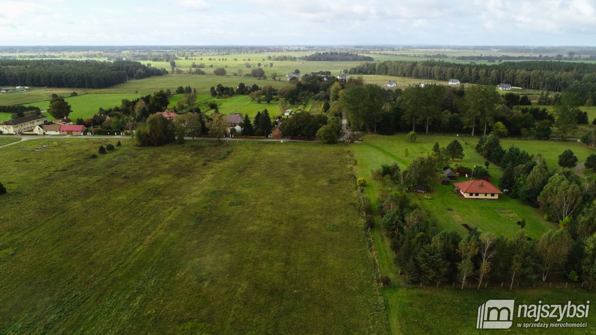 Działka budowlana na sprzedaż Redliny  3 000m2 Foto 4