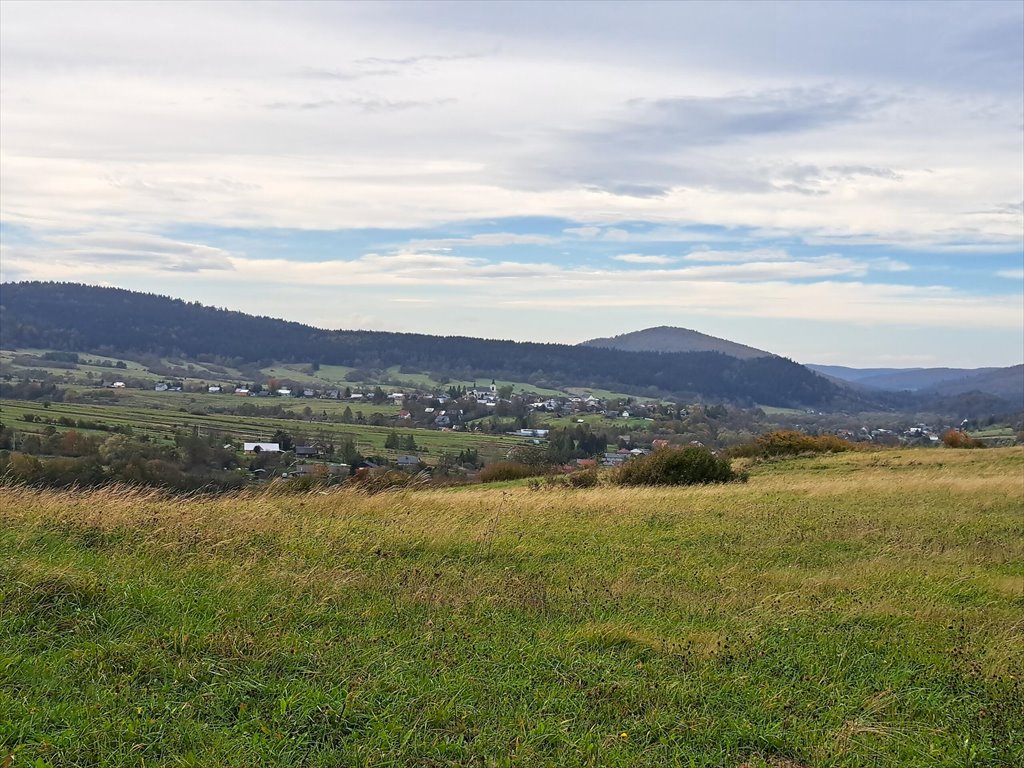 Działka rolna na sprzedaż Posada Jaśliska  9 900m2 Foto 14