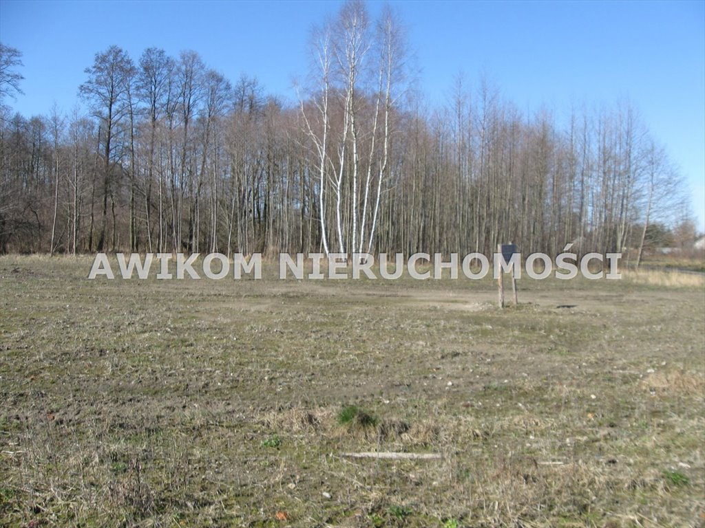 Działka 4100 m² pod rezydencję lub domy, media, zielona okolica Władków  4 100m2 Foto 1