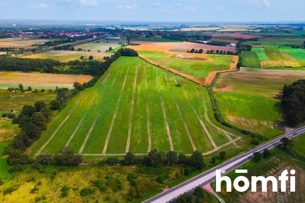 Działka przemysłowo-handlowa na sprzedaż Mazurowice  118 983m2 Foto 5