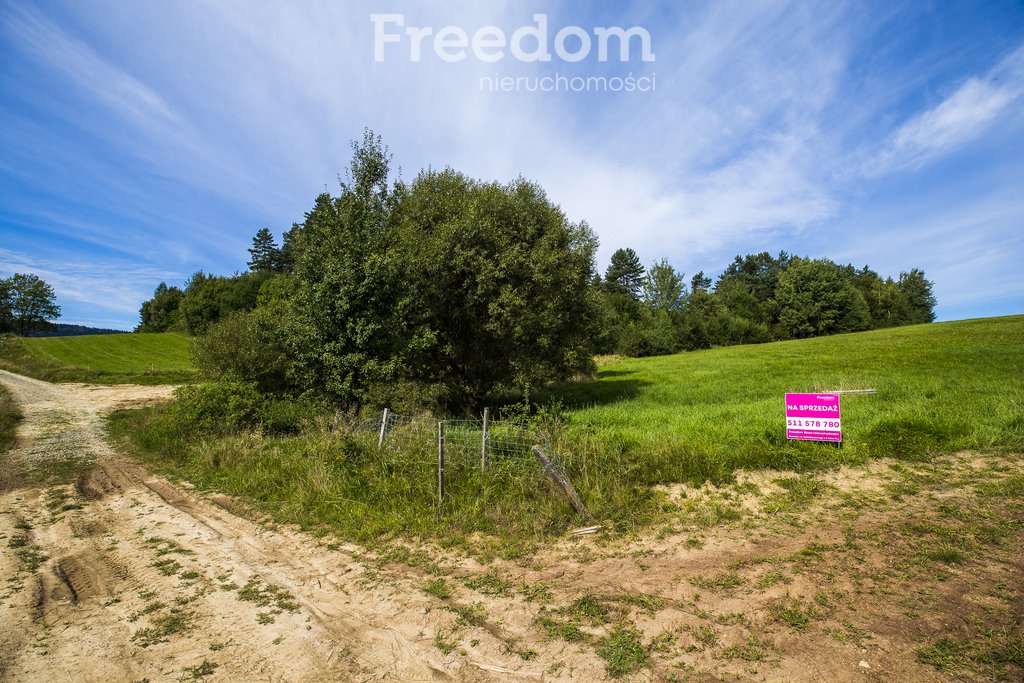 Działka rolna na sprzedaż Bandrów Narodowy  147 940m2 Foto 1