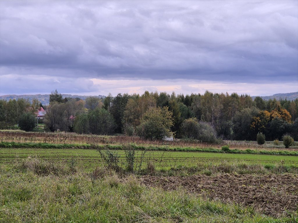 Działka rolna na sprzedaż Długie  1 910m2 Foto 6