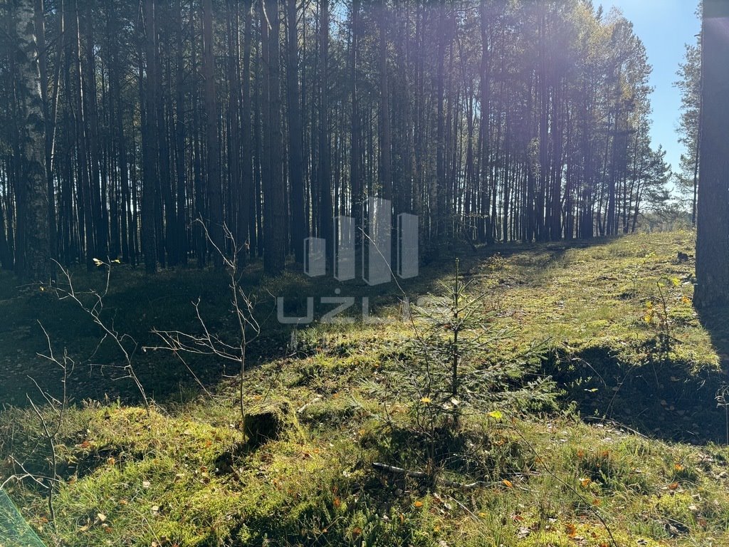 Działka inna na sprzedaż Cis  8 497m2 Foto 8