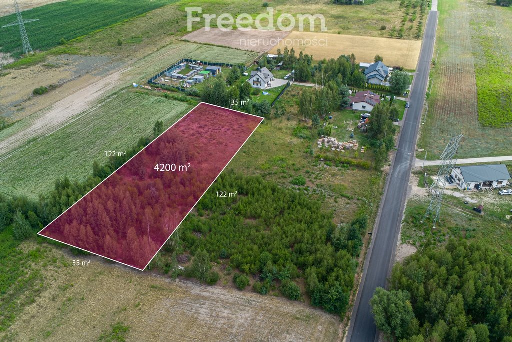 Działka inna na sprzedaż Barcice Drwalewskie  4 200m2 Foto 1