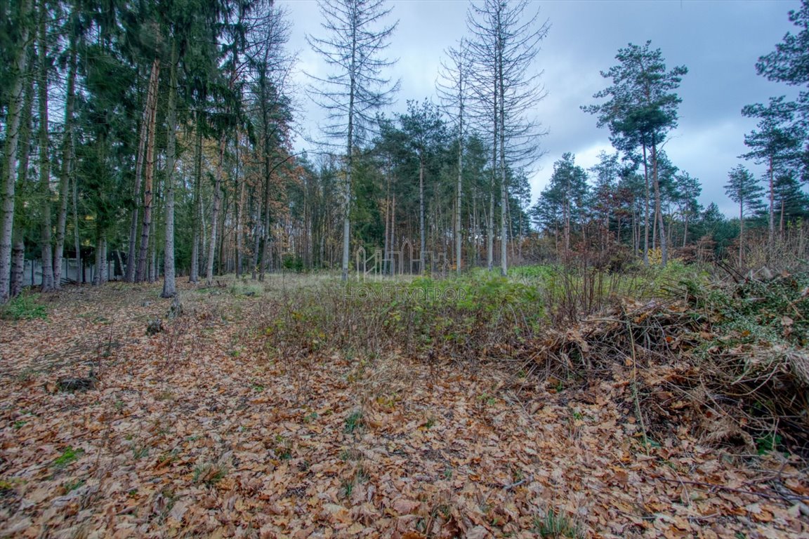 Działka siedliskowa na sprzedaż Dębówka  30 000m2 Foto 11