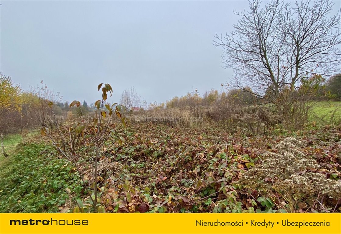 Działka inna na sprzedaż Nawojowa Góra, Lipowa  6 100m2 Foto 3