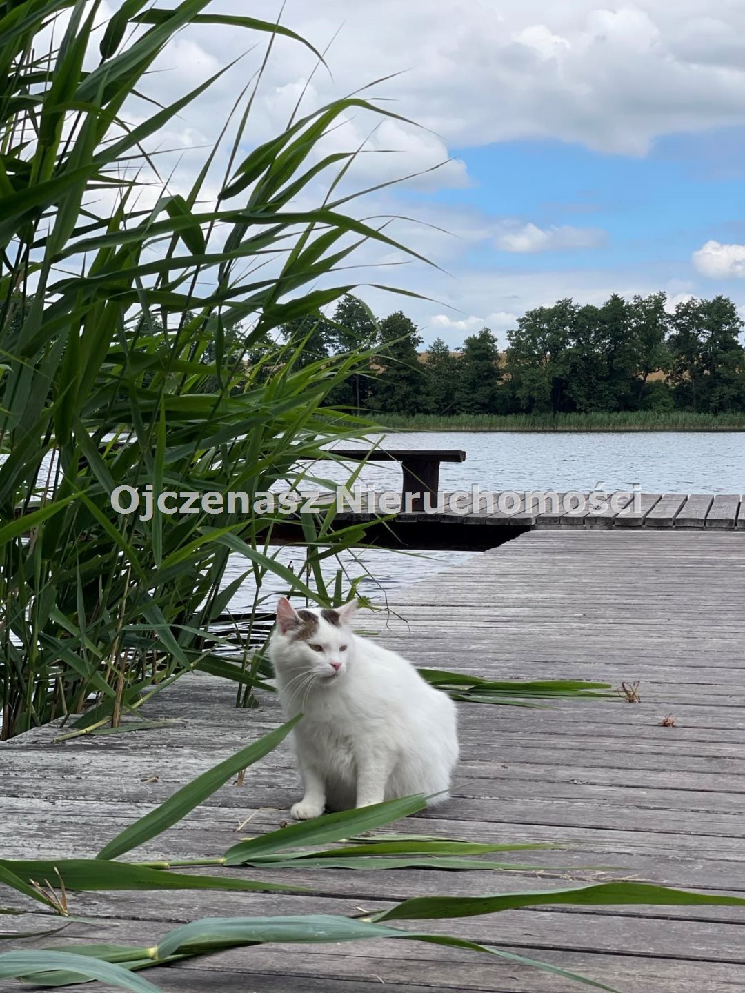 Urokliwa działka z domkiem w Prosperowie, 360 m2 Prosperowo  360m2 Foto 1