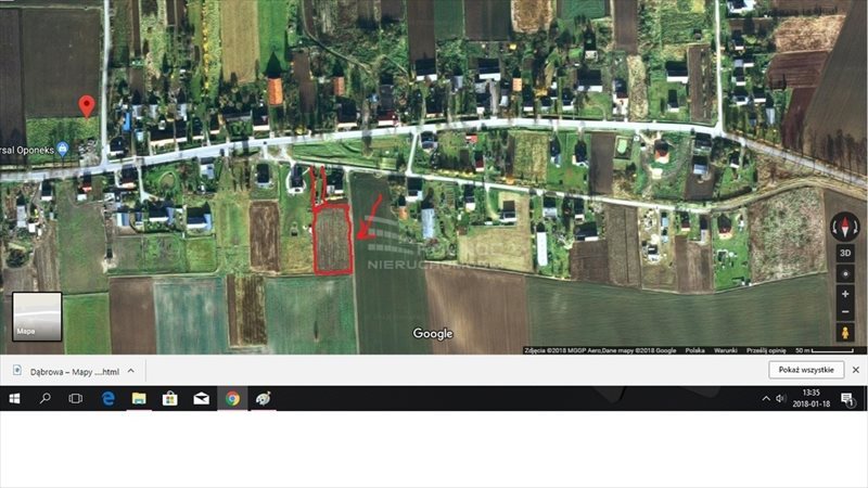 Działka budowlana na sprzedaż Dąbrowa 4 200m2 Foto 1 Działka budowlana na sprzedaż Dąbrowa 4 200m2 Foto 1