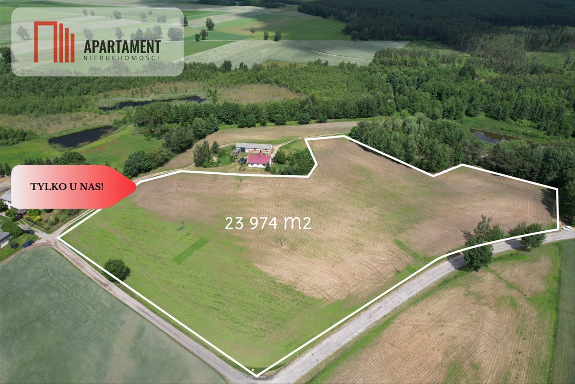 Działka rolna 2,4 ha z mediami i lasem w Dąbrowie - polecam! Dąbrowa  23 974m2 Foto 1