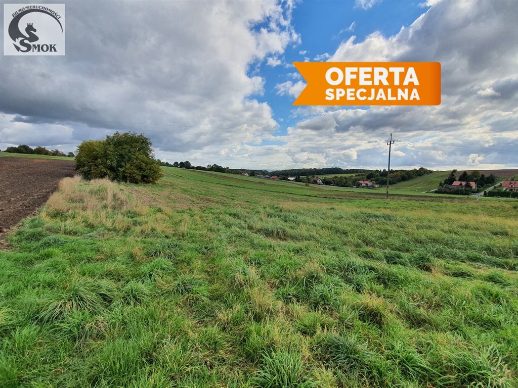 Działka 6,4 ha z potencjałem budowlanym i rolnym Wielka Wieś  6 400m2 Foto 1