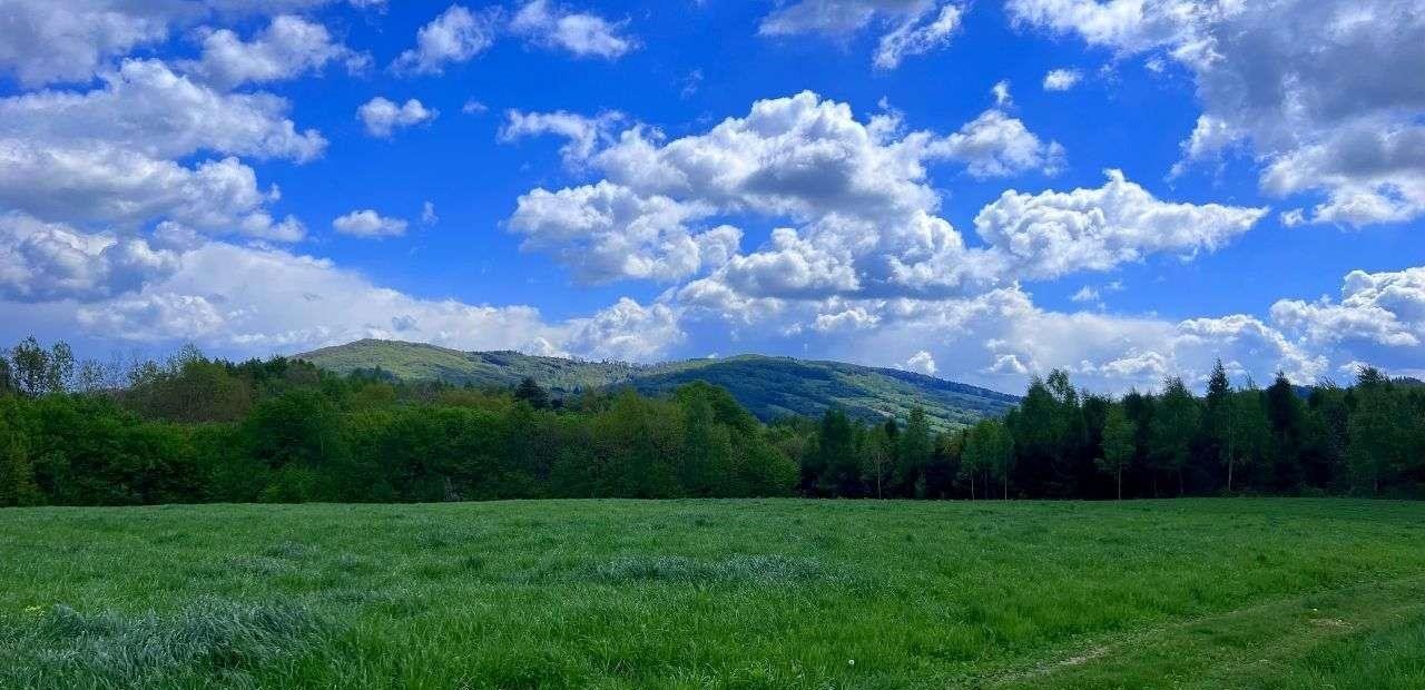 Działka rekreacyjna na sprzedaż Dębna  1 200m2 Foto 8