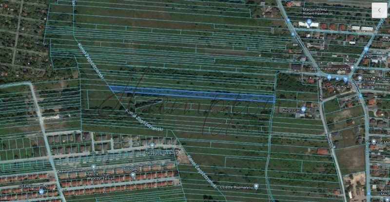 Działka rolna 6286 m2 z możliwością rozbudowy w Wawer Warszawa, Wawer  6 286m2 Foto 1