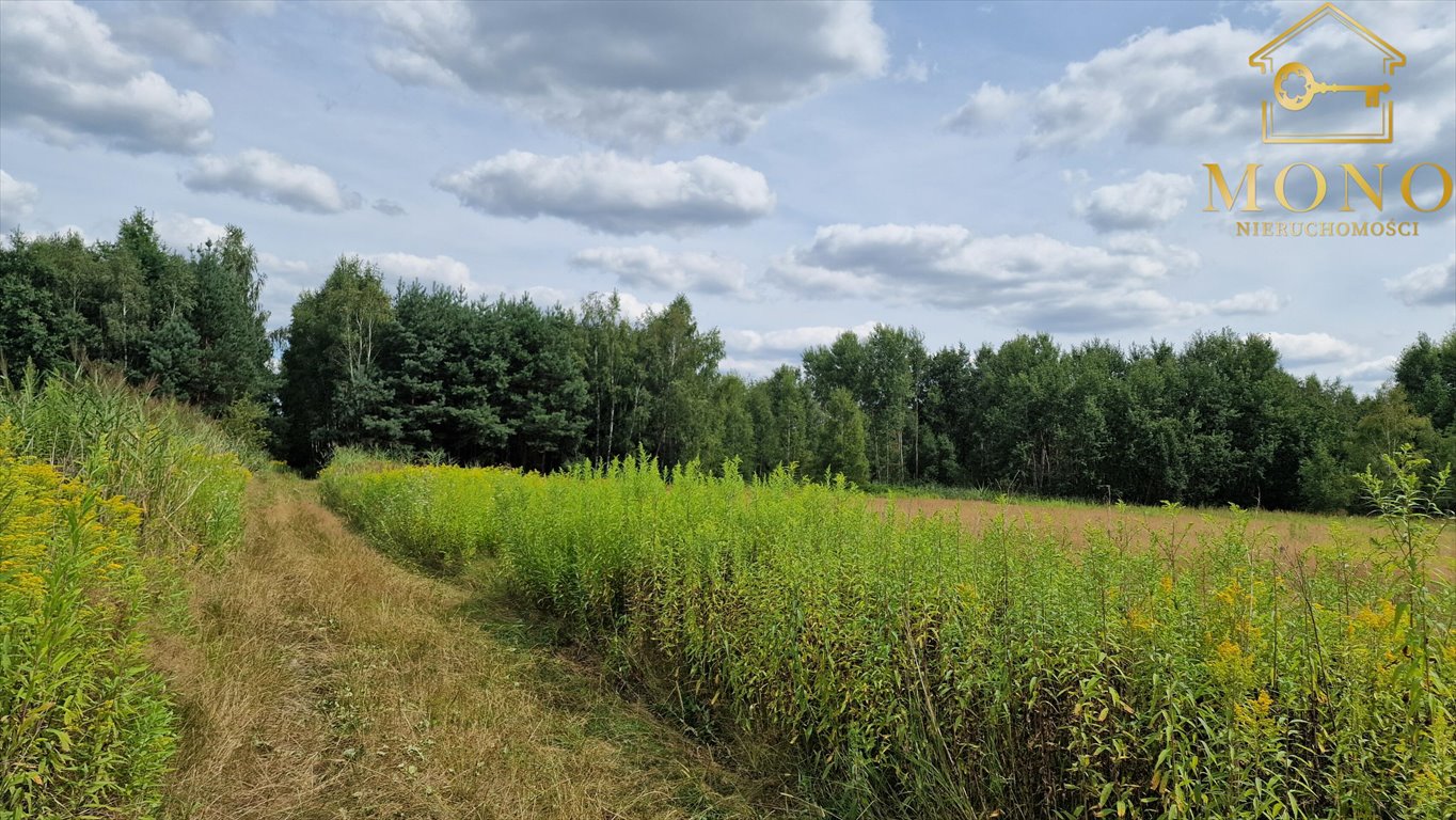 Działka rolna na sprzedaż Gadawa  13 350m2 Foto 8