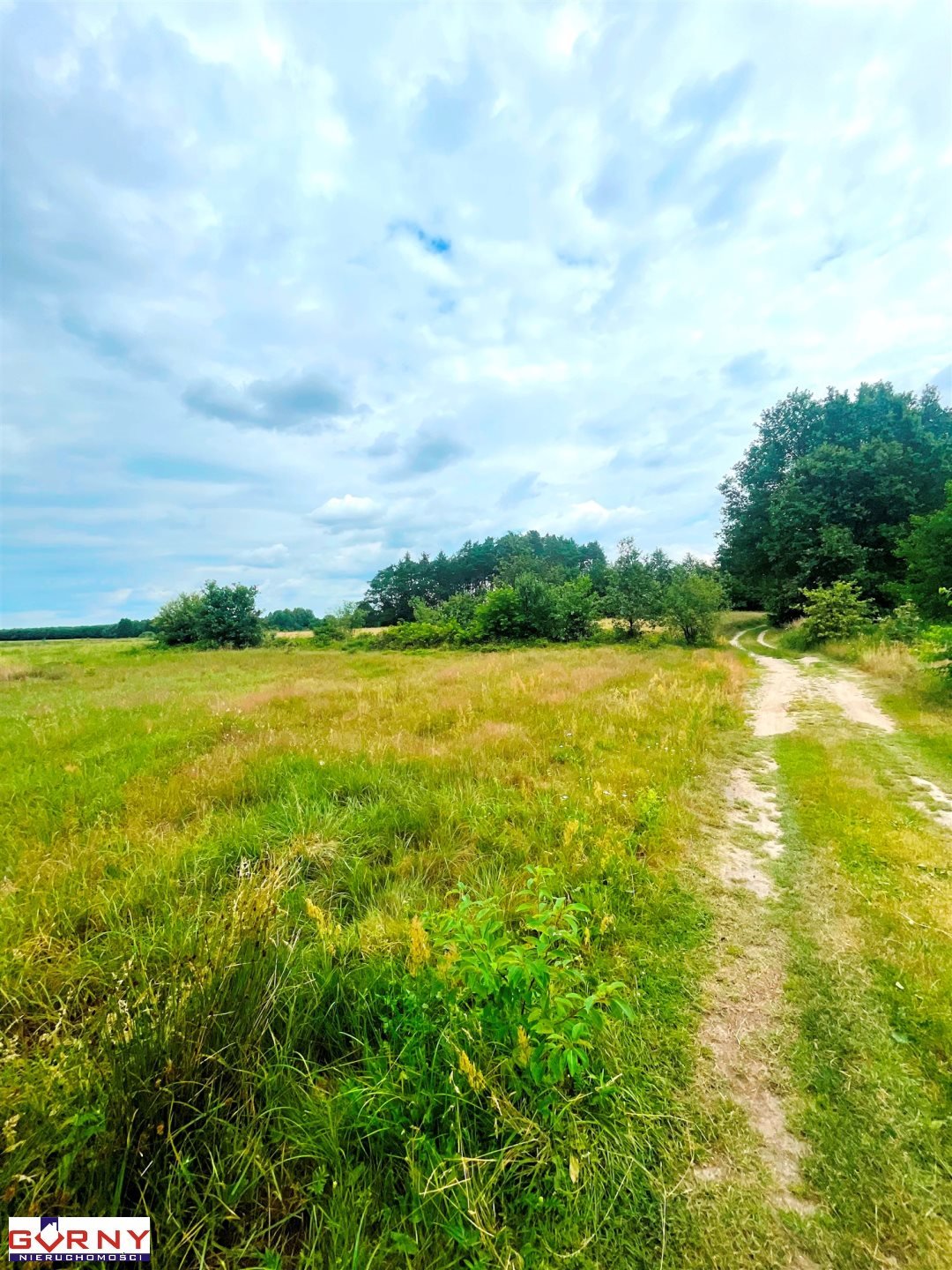 Działka rekreacyjna na sprzedaż Będzyn  20 600m2 Foto 4