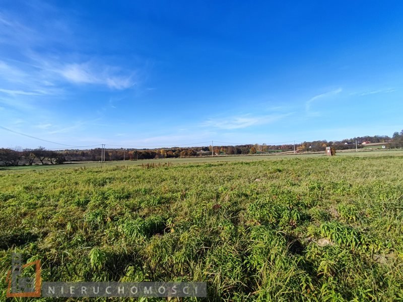 Działka inna na sprzedaż Cianowice Małe  10 000m2 Foto 1