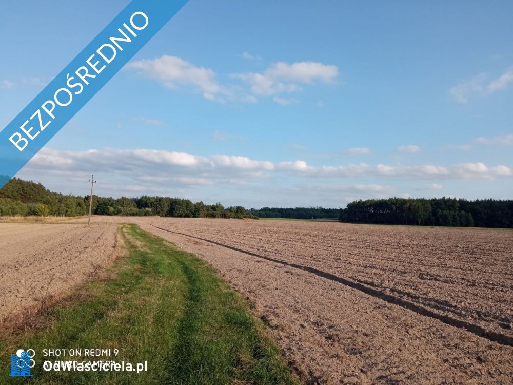 Działka budowlana na sprzedaż Nojewo  1 600m2 Foto 7