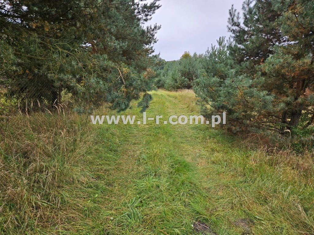 Działka leśna na sprzedaż Sumina, Dworcowa  6 820m2 Foto 7