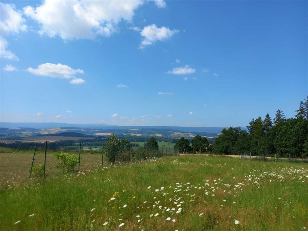 Działka inna na sprzedaż Nowa Ruda  1 412m2 Foto 7