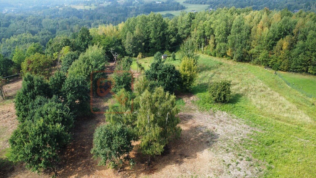 Działka budowlana na sprzedaż Lubenia  8 239m2 Foto 1