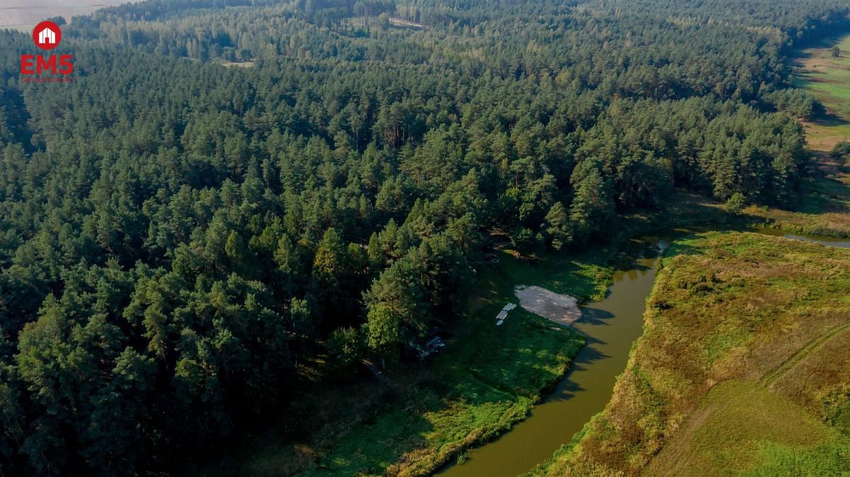 Działka inna na sprzedaż Ploski  230m2 Foto 20