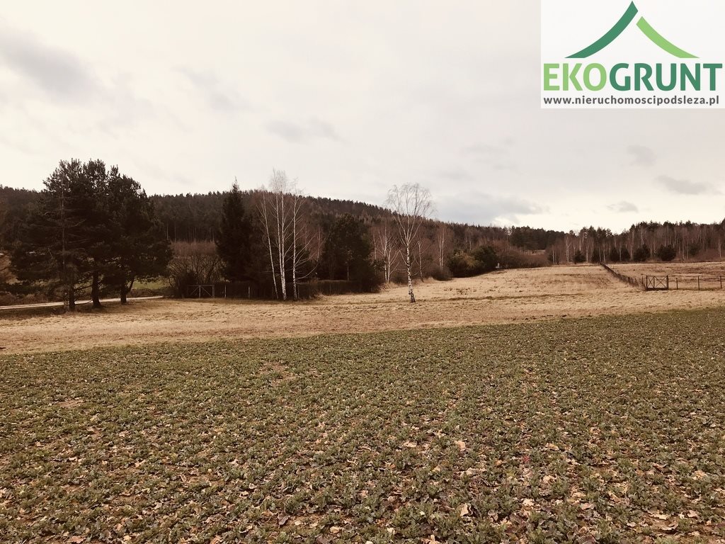 Działka budowlana na sprzedaż Sulistrowice, Nowa 1 200m2 Foto 1 Działka budowlana na sprzedaż Sulistrowice, Nowa 1 200m2 Foto 1