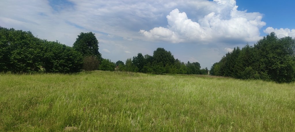 Działka budowlana na sprzedaż Borzęcin Mały  1 000m2 Foto 4