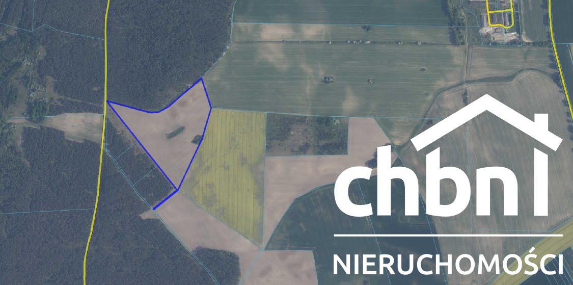 Działka rolna na sprzedaż Sokole  461 899m2 Foto 1