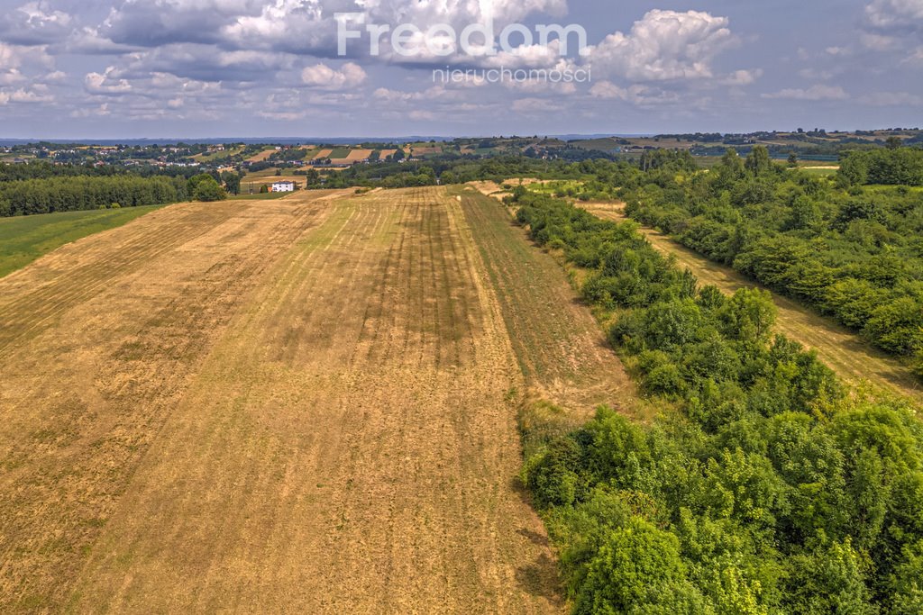 Działka rolna na sprzedaż Siemonia, Kościuszki  17 300m2 Foto 15