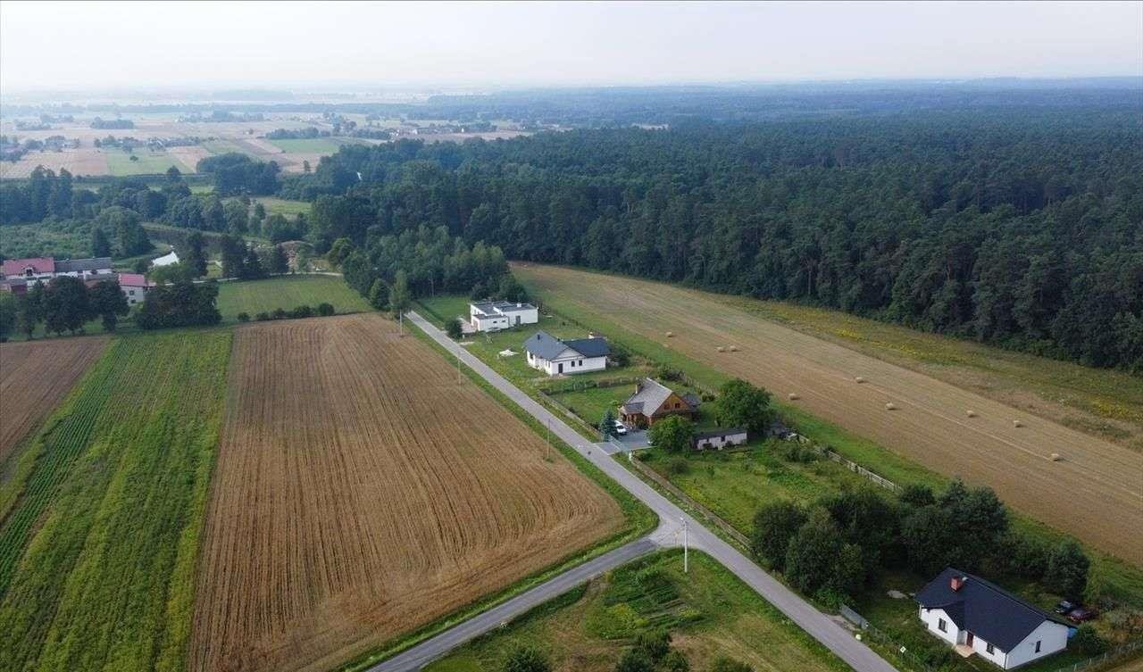 Działka rolna na sprzedaż Strzałków  9 759m2 Foto 5