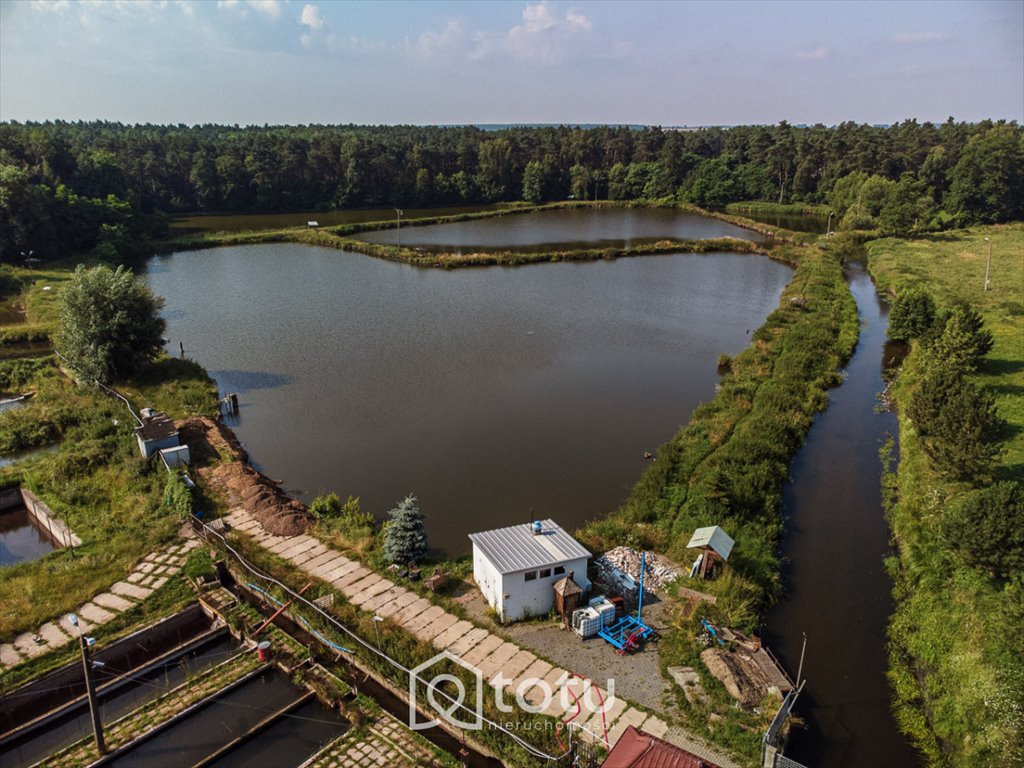 Działka inwestycyjna na sprzedaż Krężnica Jara  50 420m2 Foto 10