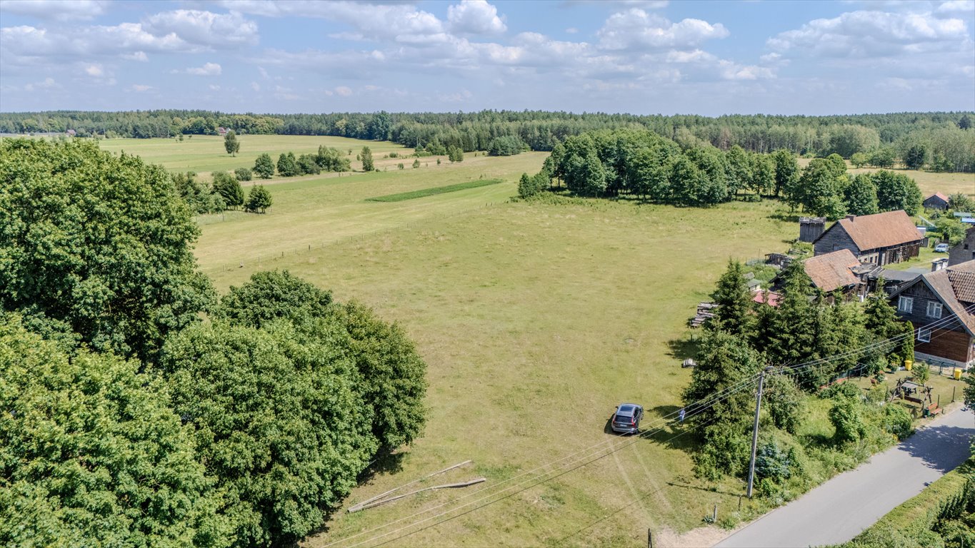 Działka budowlana na sprzedaż Kolonia  14 500m2 Foto 8