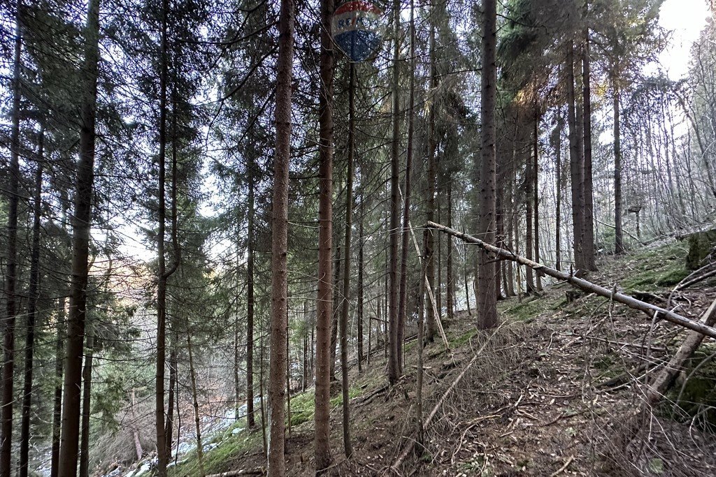 Działka leśna na sprzedaż Nowy Targ  2 128m2 Foto 1