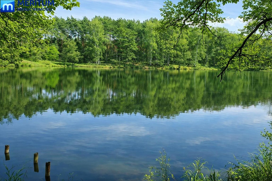 Malownicza działka 2000 m2 z lasem i potencjałem inwestycyjnym Adamów-Wieś  2 000m2 Foto 1