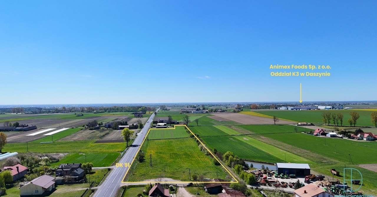 Na sprzedaż działka inwestycyjna 2,39 ha przy DK91 z mediami Daszyna  23 905m2 Foto 1