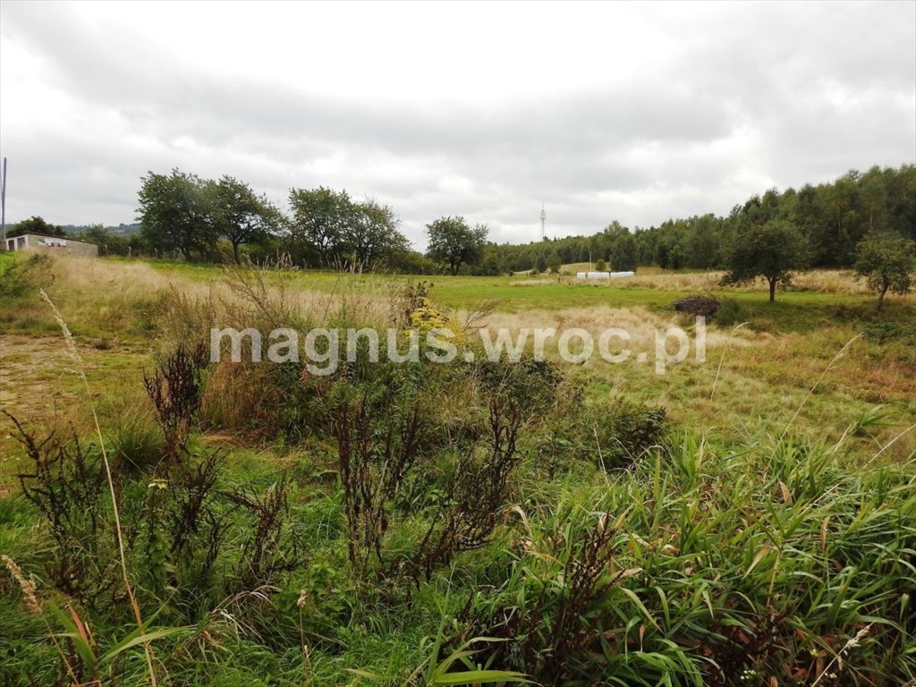 Działka budowlana na sprzedaż Jedlina-Zdrój, Kościelna  1 499m2 Foto 8