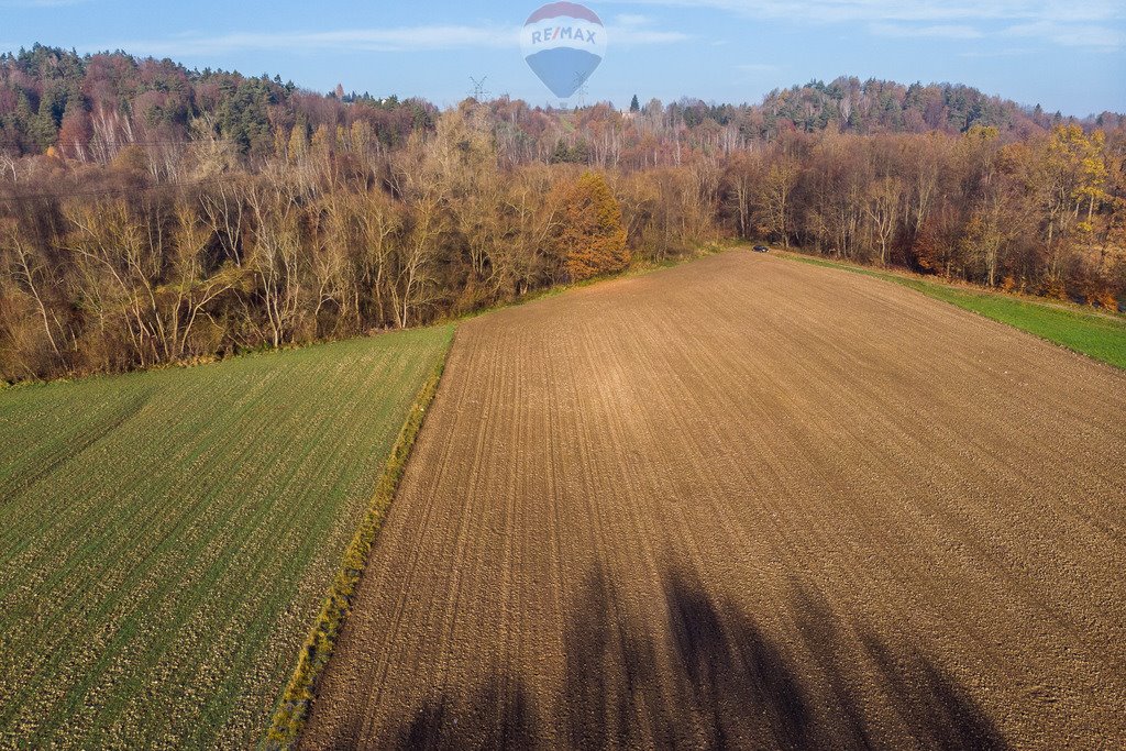 Działka komercyjna na sprzedaż Krzywaczka  8 200m2 Foto 17