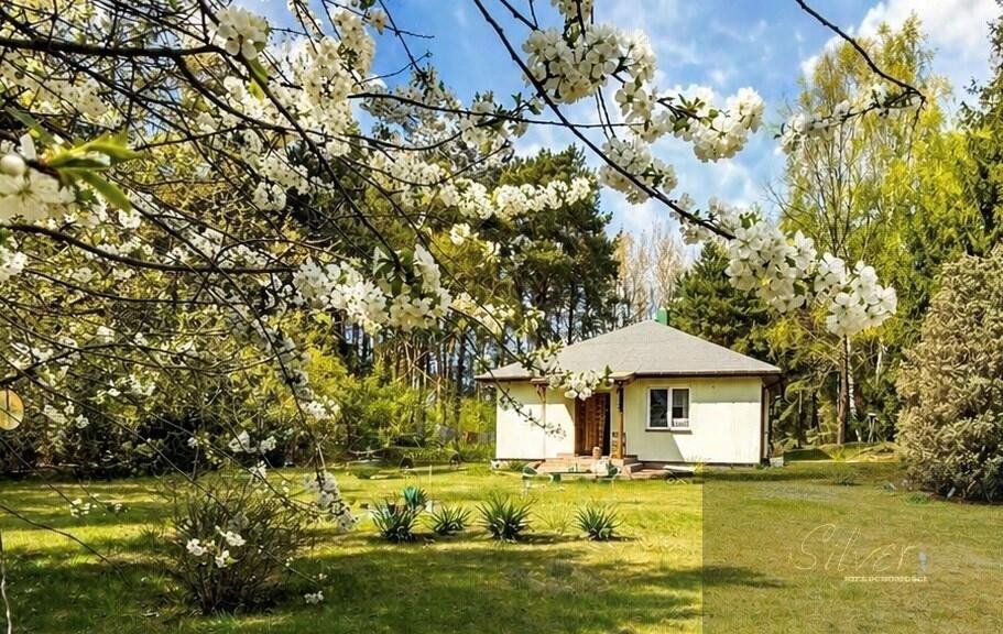 Dom 70 m2 na dużej działce w Nowych Mistrzewicach Nowe Mistrzewice  70m2 Foto 1