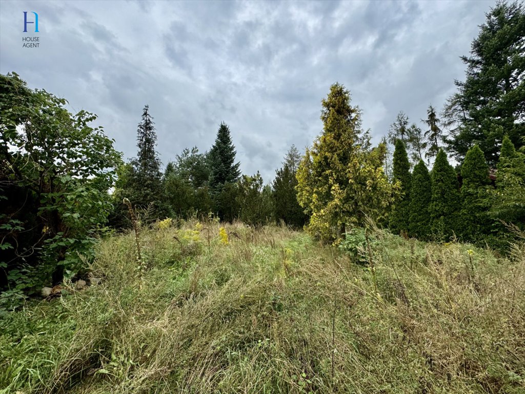 Działka budowlana na sprzedaż Kazimierz, Spacerowa  1 380m2 Foto 6