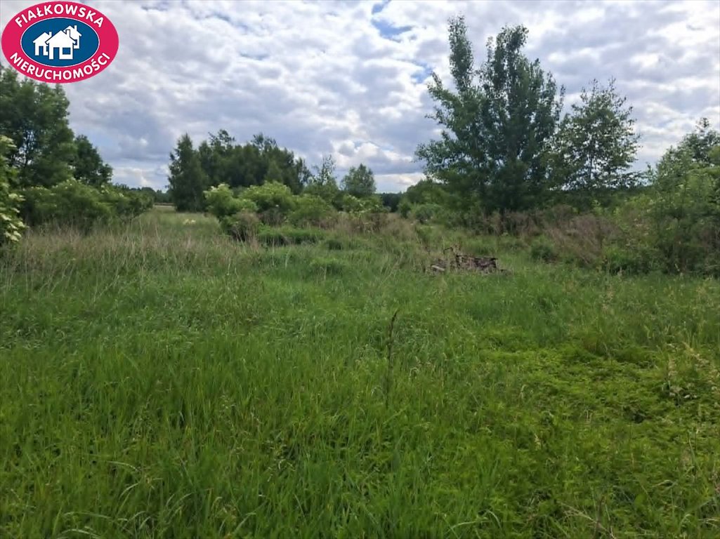 Na sprzedaż działka 31 200 m² z MPZP i mediami w Aleksandrii Aleksandria  31 200m2 Foto 1