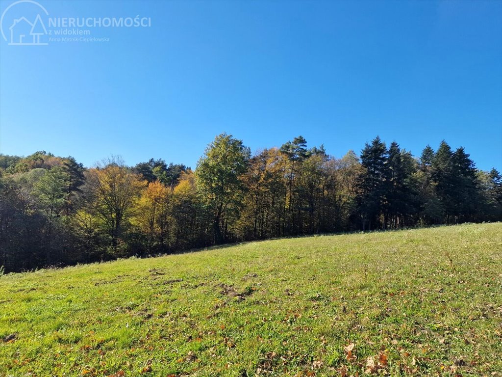 Działka budowlana na sprzedaż Błażkowa  2 559m2 Foto 8