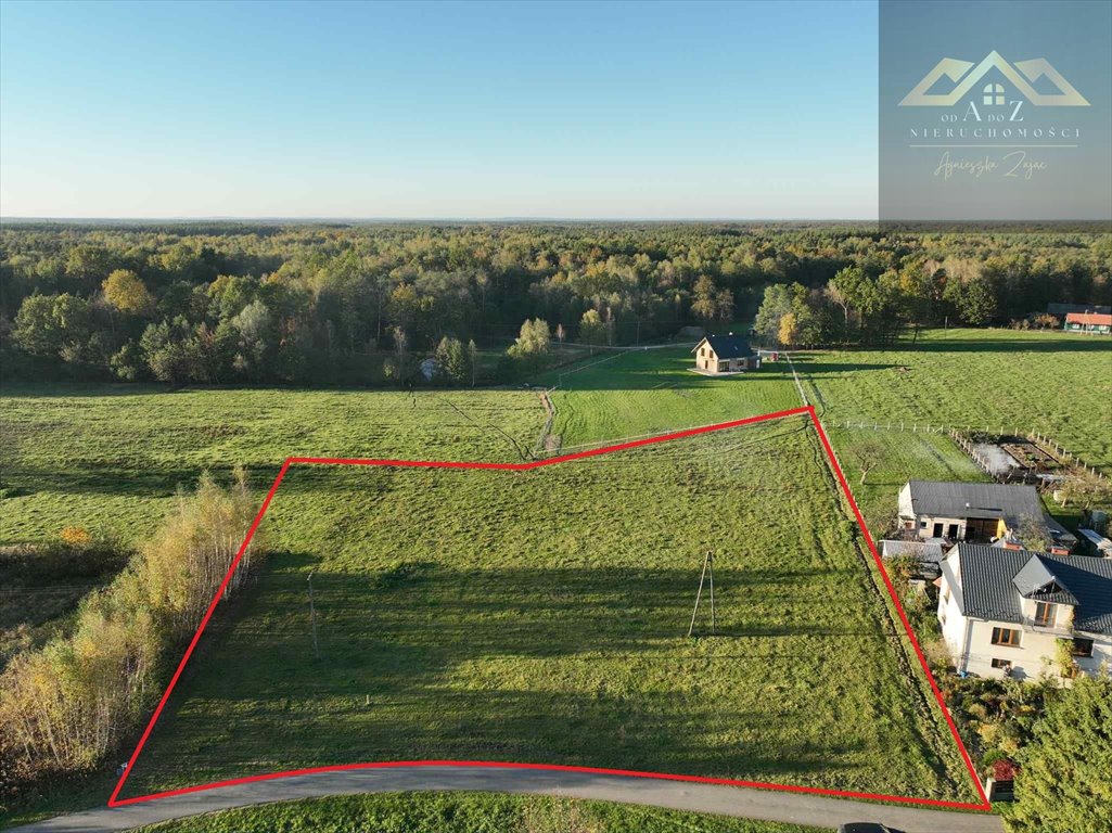 Działka 57 arów z mediami, lasy, spokój, blisko natury Biadoliny Radłowskie  5 701m2 Foto 1