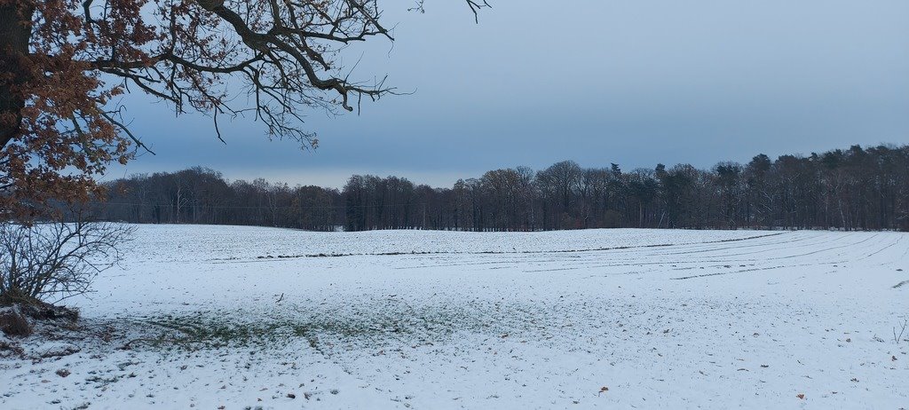 Działka inwestycyjna na sprzedaż Budzieszowce  17 282m2 Foto 2