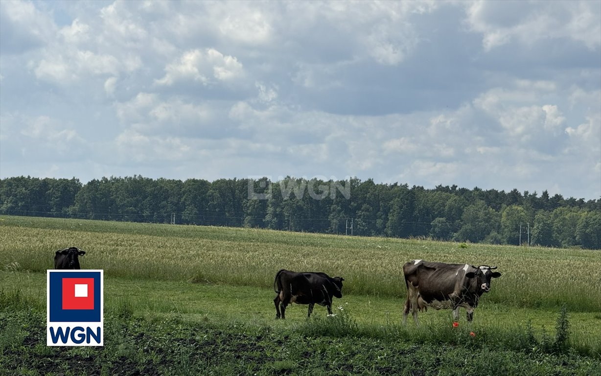 Dom na sprzedaż Sprowa, Sprowa  170m2 Foto 13