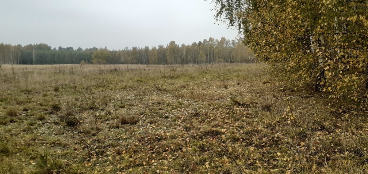 Działka inwestycyjna na sprzedaż Pisz  12 232m2 Foto 6