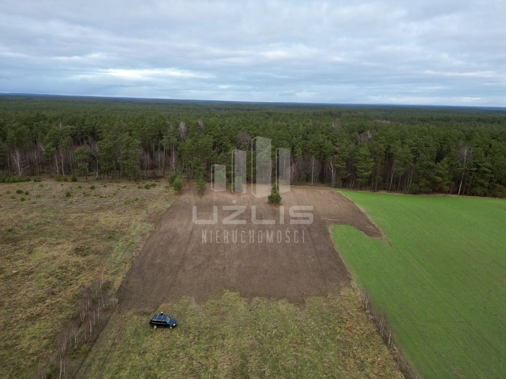 Działka inna na sprzedaż Przytarnia  1 570m2 Foto 9