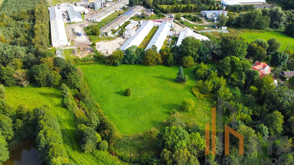 Działka budowlana na sprzedaż Sokołowice  10 000m2 Foto 5