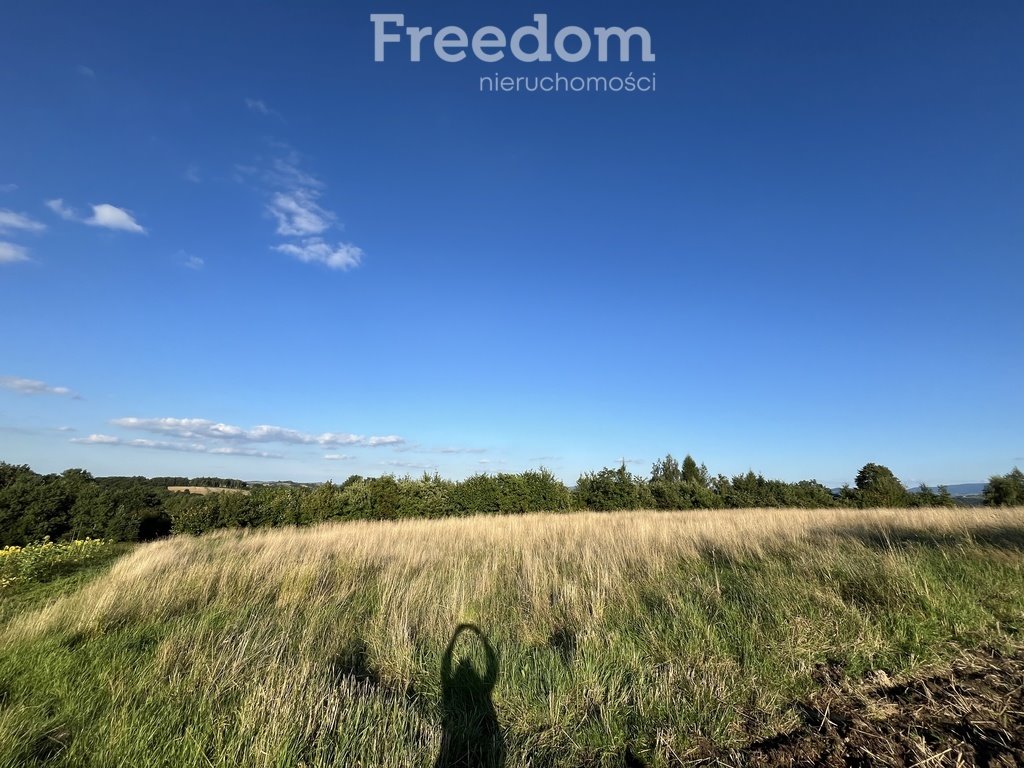 Działka budowlana na sprzedaż Raciechowice  4 600m2 Foto 2