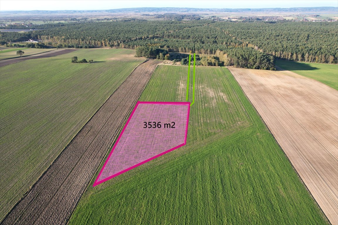 Działka budowlana na sprzedaż Strzelczyki  3 536m2 Foto 1