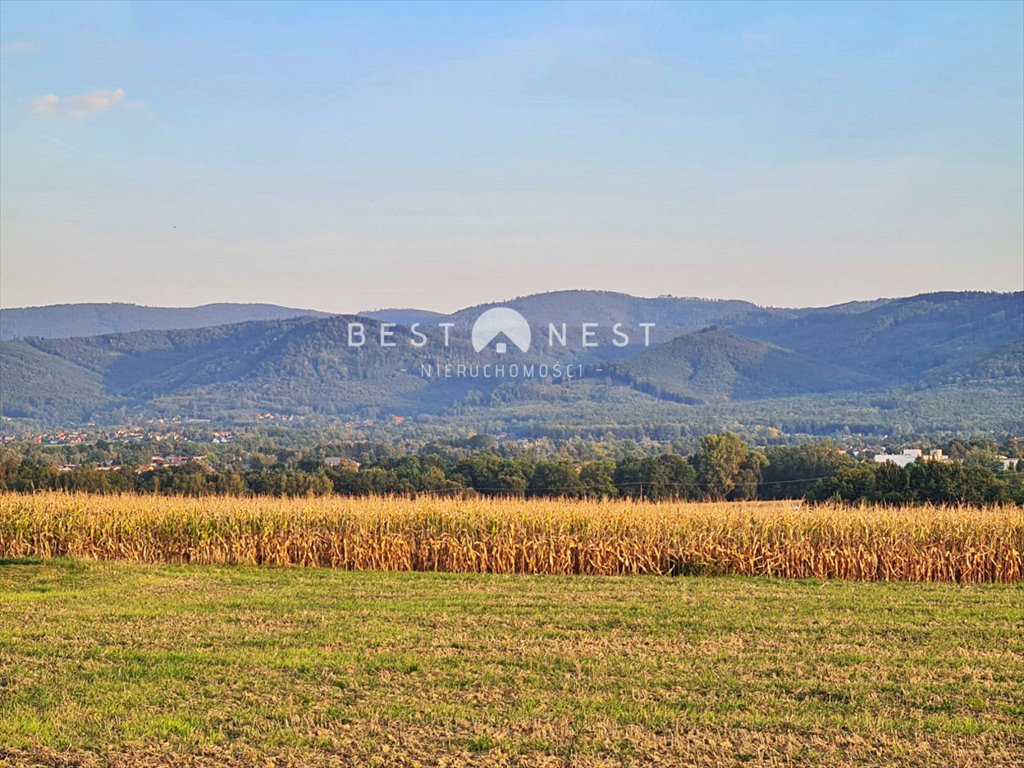 Działka budowlana na sprzedaż Jasienica  10 340m2 Foto 1